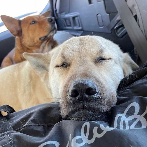 I'm Live! Come Sleep On Posh With Me!! - Picture 7 of 10